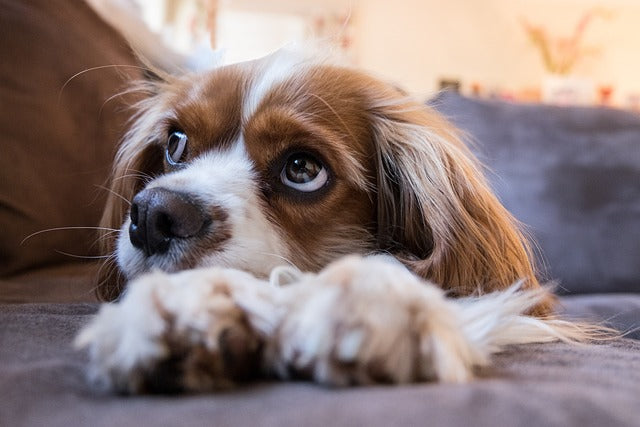 9 Bible Verses About God Seeing Us That Bring Hope and Peace to Our Hearts